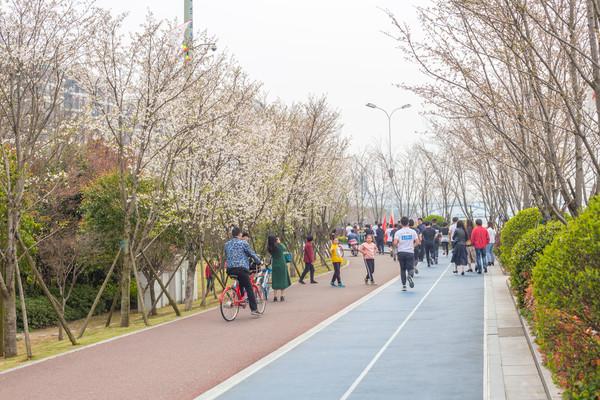 杭州最新景点,杭州最新景点探索，城市新名片下的魅力展现