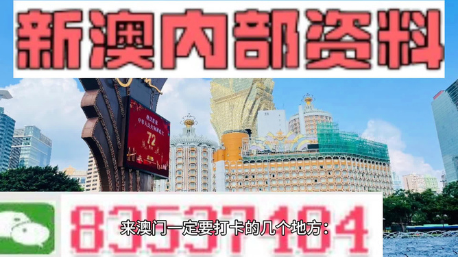 新澳门2024年正版免费公开,新澳门2024年正版免费公开，探索未来的机遇与挑战